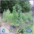 HOT SALE! Galvanised Lowes hog wire fencing ---ISO9001:2008 FACTORY